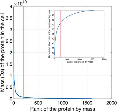 Definition of the Minimal Contents for the Molecular Simulation of the Yeast Cytoplasm